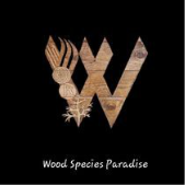 Wood Species Paradise