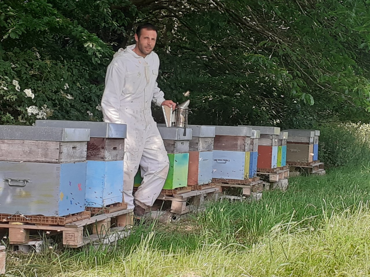 Apiculteur récoltant